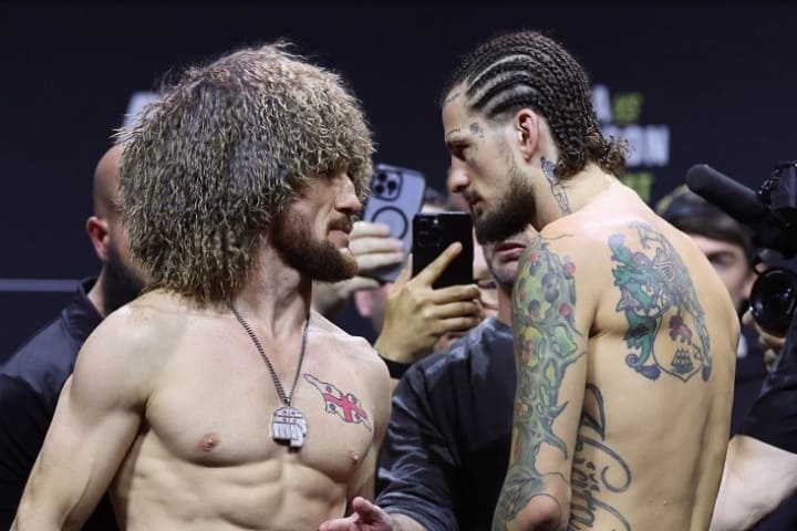 Dvalishvili vs O'Malley 2 видео онлайн